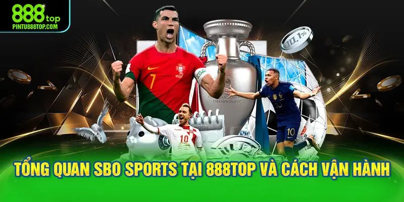 Tổng quan Sbo Sports tại 888TOP và cách vận hành thực tế